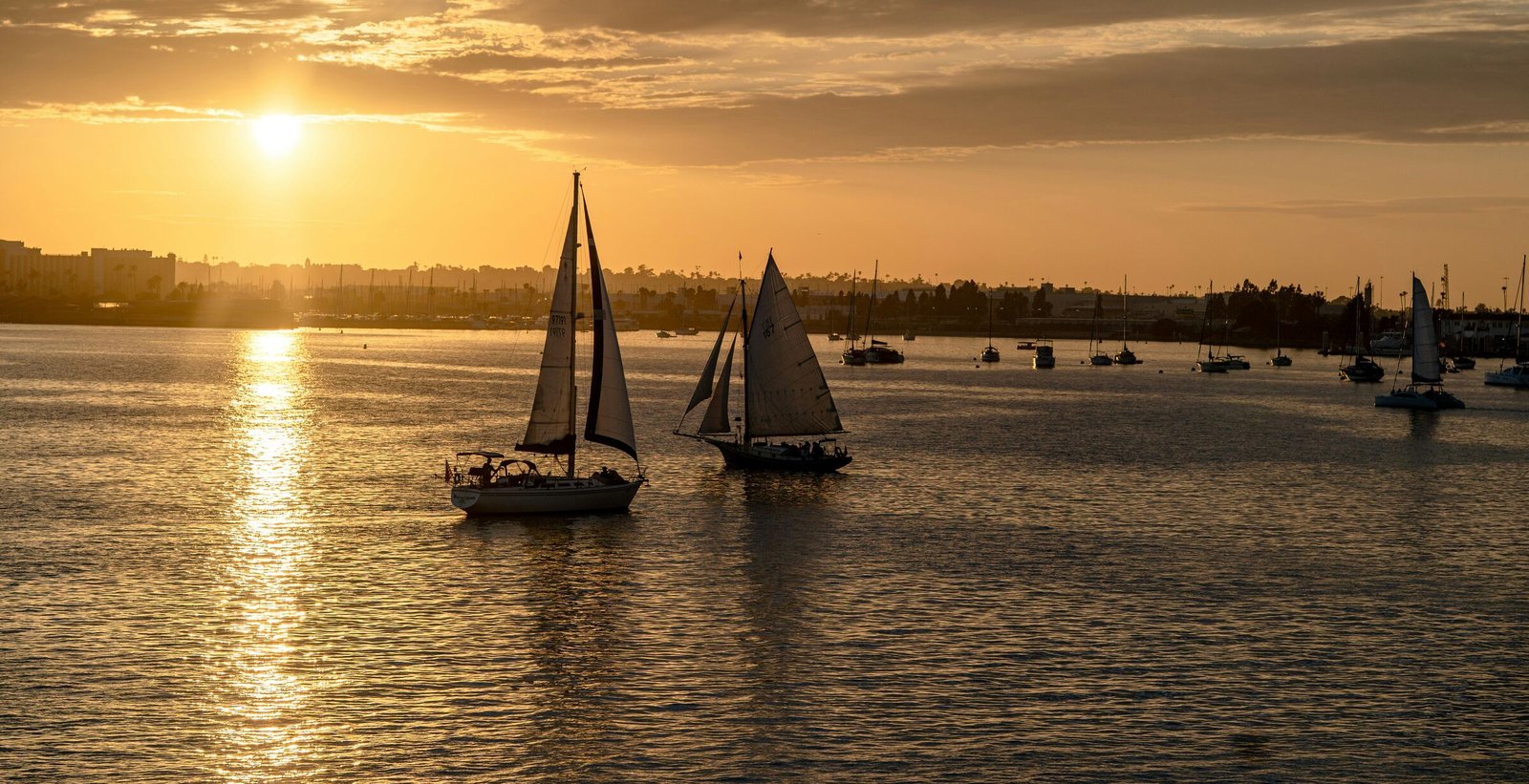Sailboats catching the last light on San Diego Bay at sunset